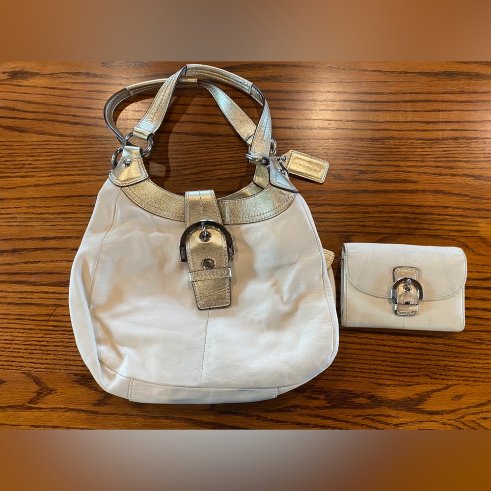 Coach hobo bag and matching wallet (tan with gold)